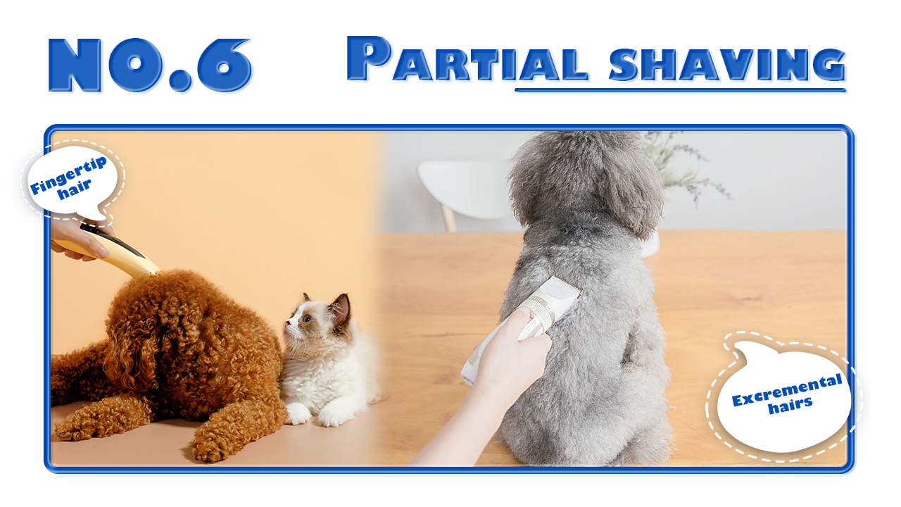 Pets maintain a clean odor-6