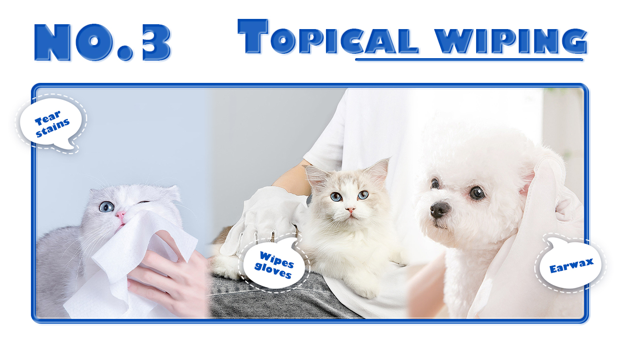 Pets maintain a clean odor-3