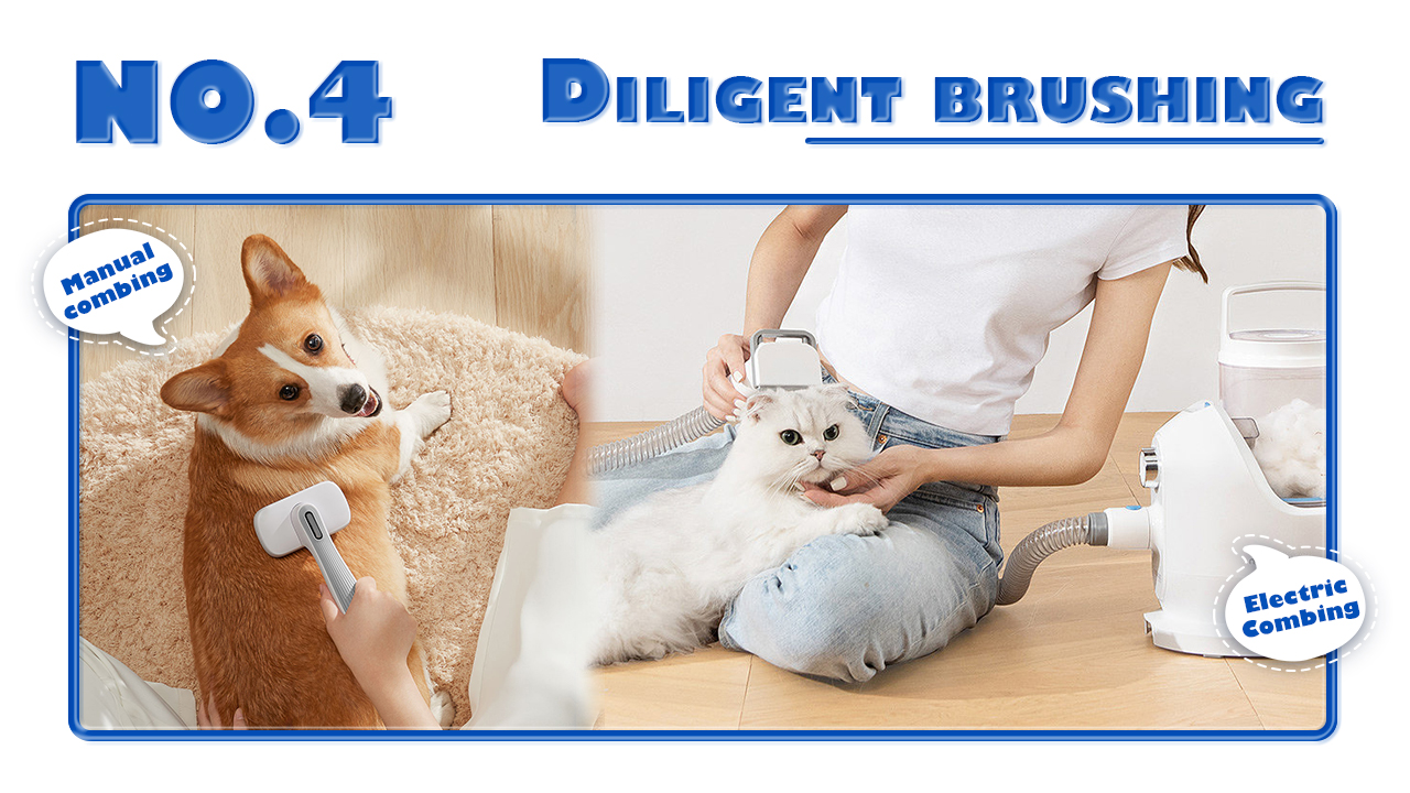 Pets maintain a clean odor-4