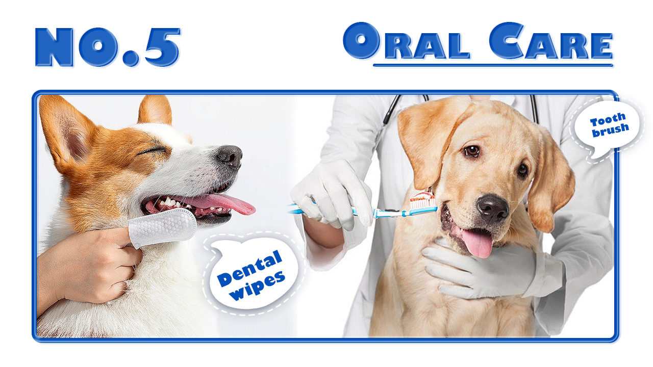 Pets maintain a clean odor-5