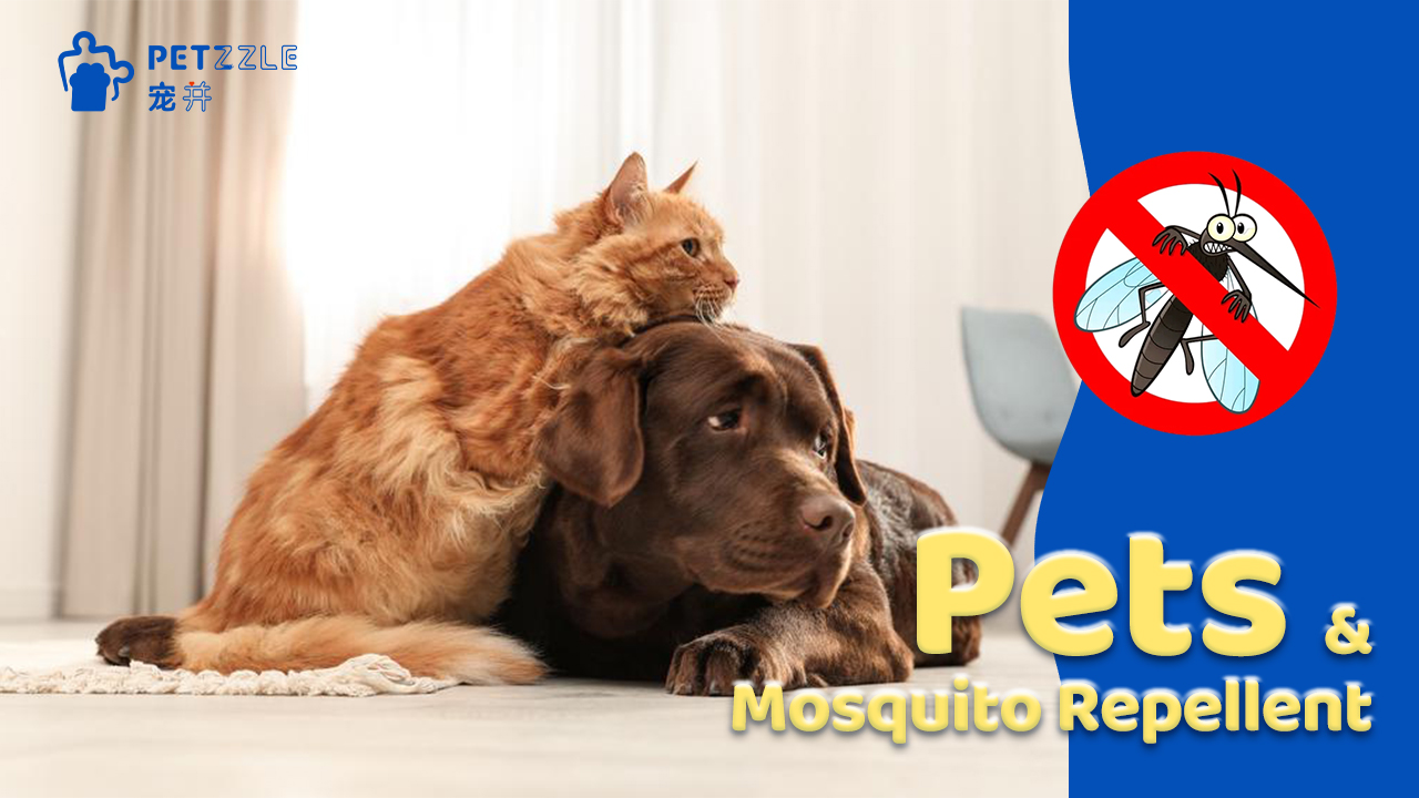 Pet mosquito repellent products inventory