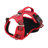 Dog Harness2