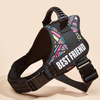 Pet Harness (medium And Large Pets)