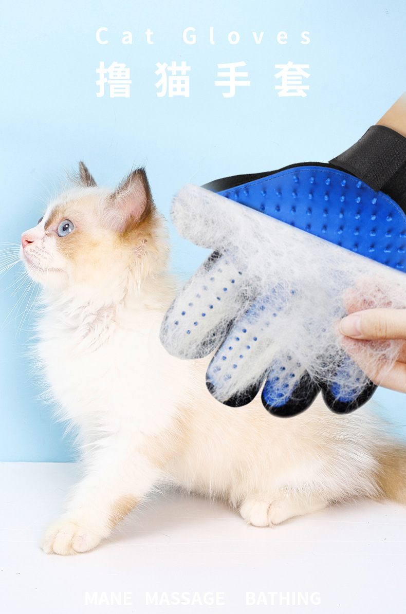 17275435722_181355791