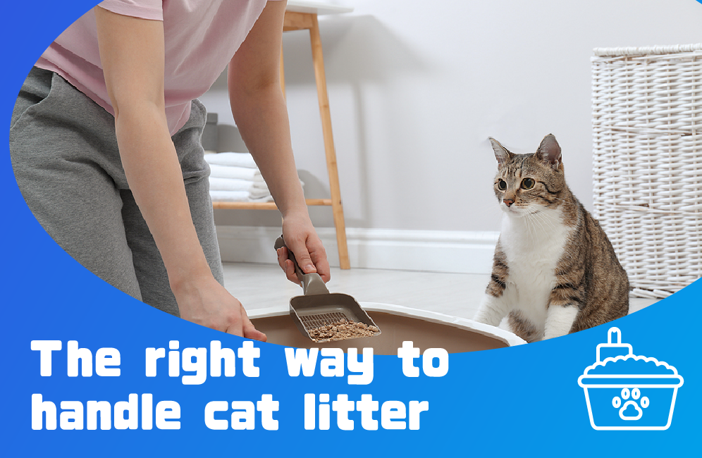 The right way to handle cat litter FENGLE International Trade Co., Ltd.