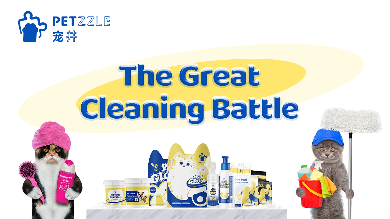 How can you keep your cat clean?