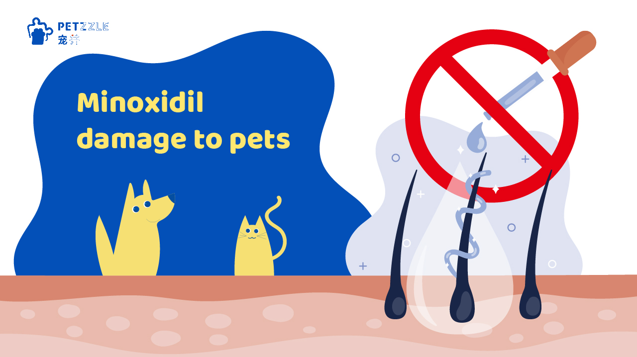 The use of minoxidil on the damage to the pet
