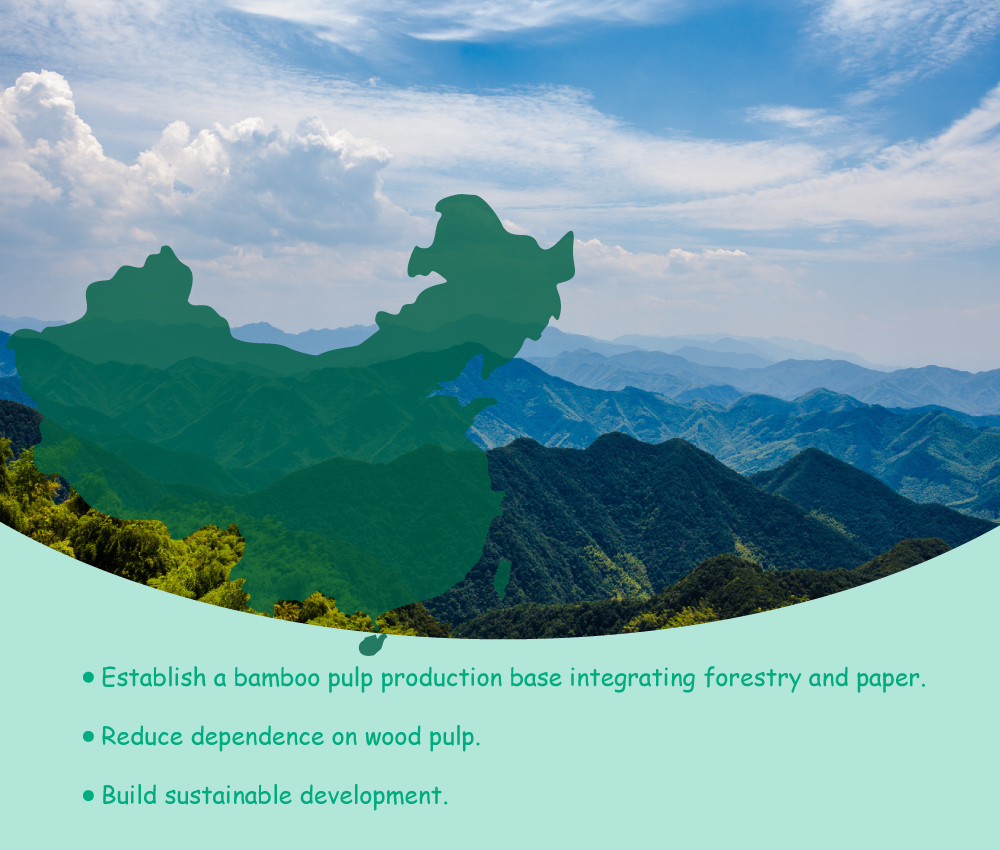 第三章：中国竹浆造纸的潜力与方向2