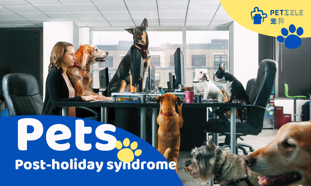 Post-holiday Syndrome in Pets