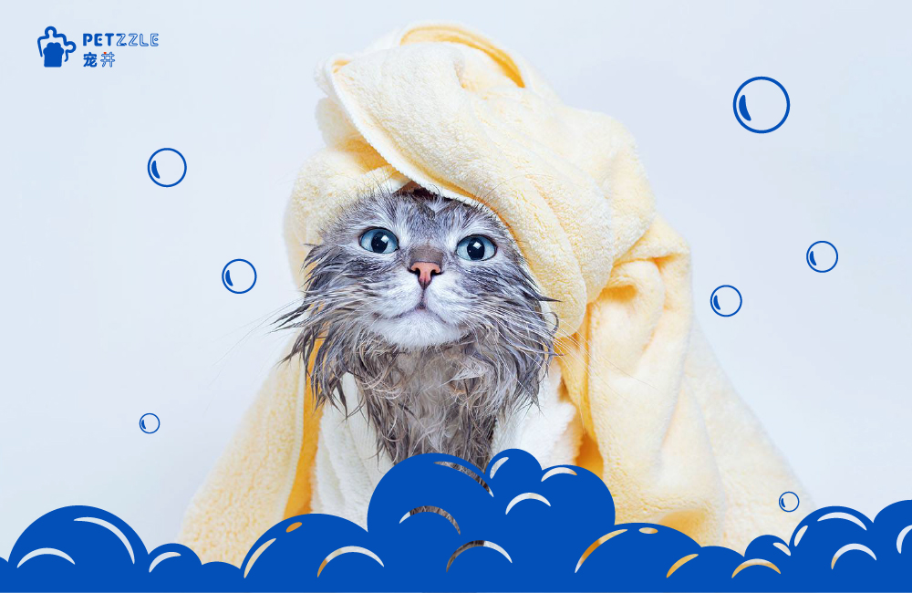 Bathing advice for different breeds of cats