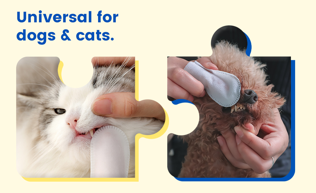 petzzle宠物牙齿_08