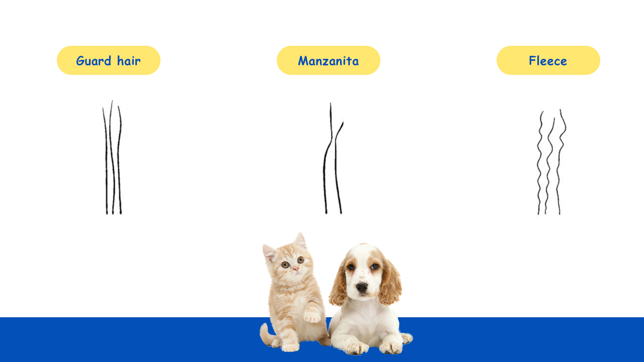 How to deal with pet hair during the shedding season? FENGLE