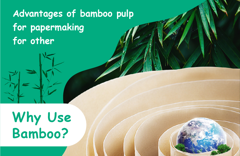 A comprehensive understanding of bamboo fiber -Ⅱ