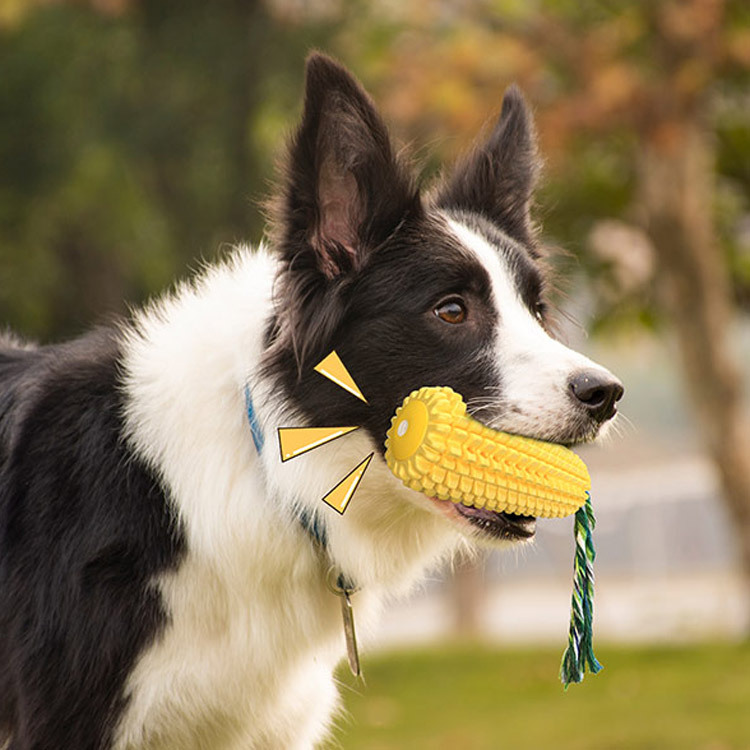 Dogs corn type teething stick toys