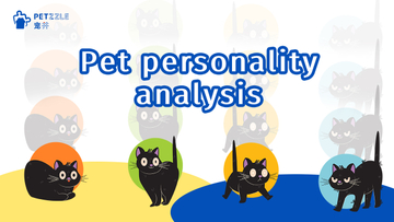 宠物性格分析.jpg