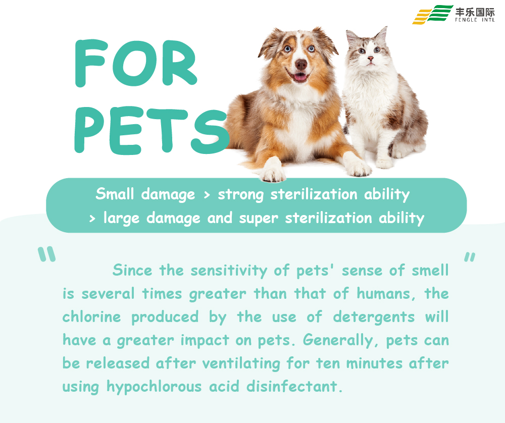 次氯酸&宠物-6