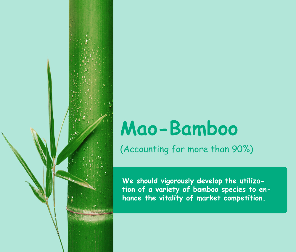 第三章：中国竹浆造纸的潜力与方向3