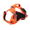 Dog Harness2