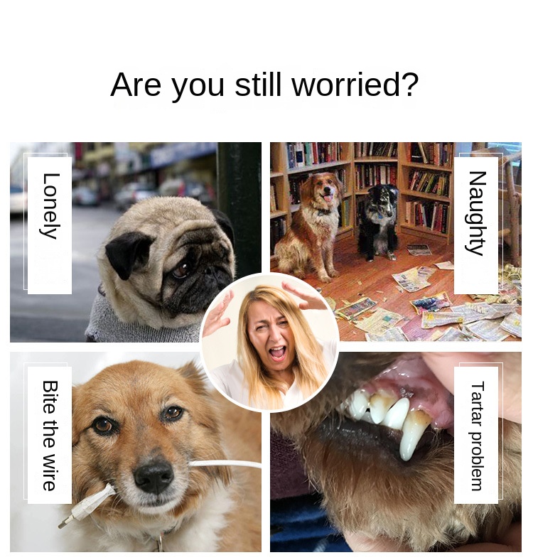 10394158241_237953625