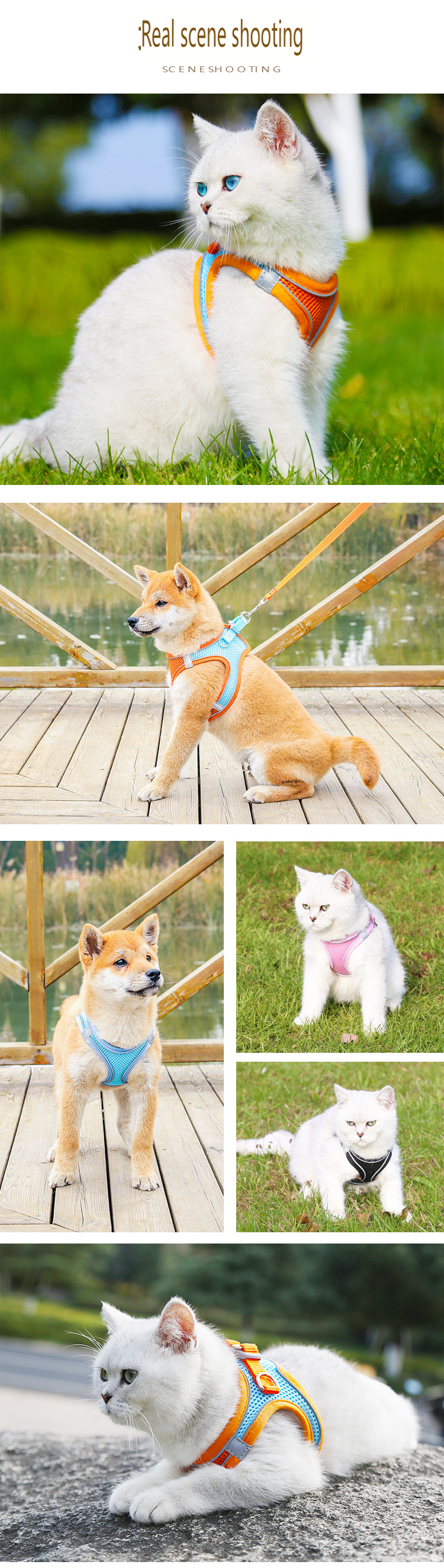 20230327_113202_153.translated