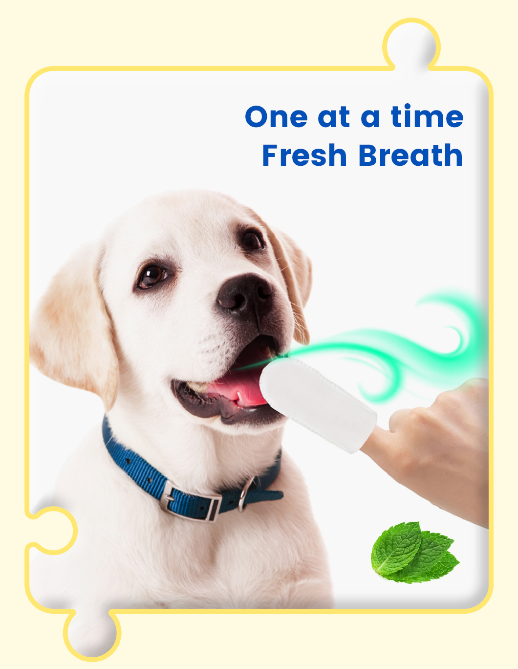 petzzle宠物牙齿_04