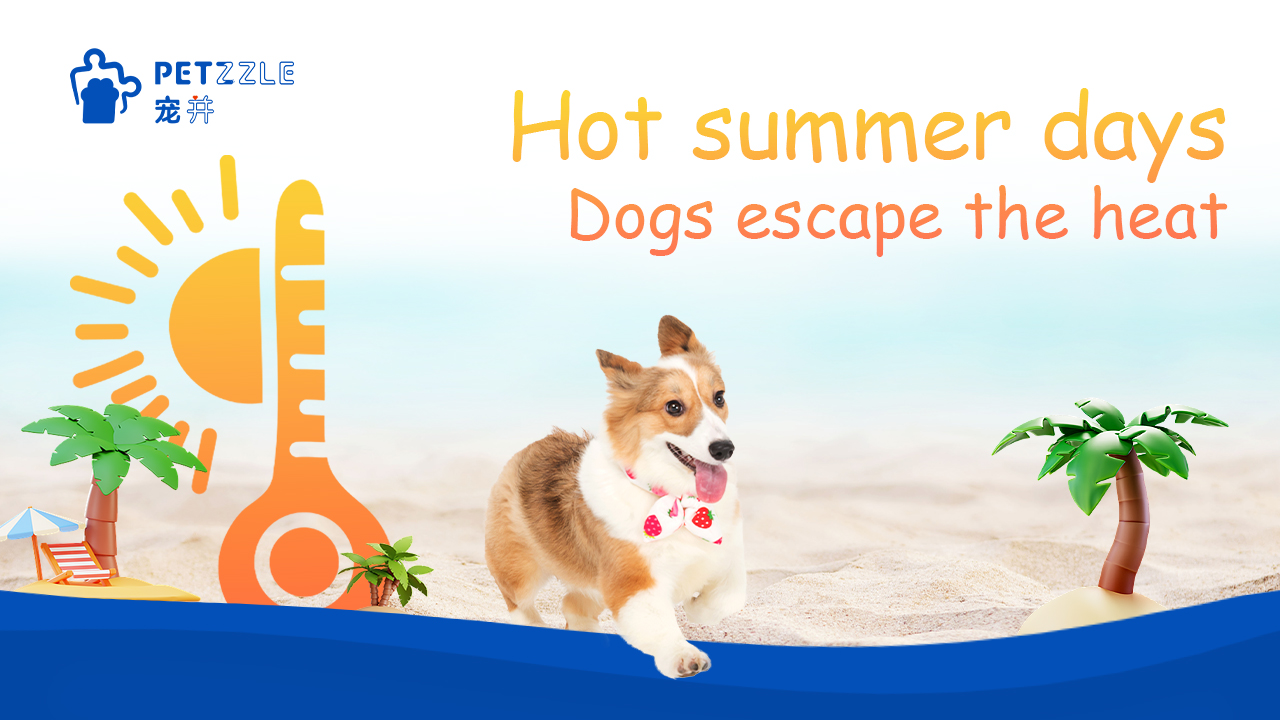 Hot summer days Dogs to avoid the heat guide