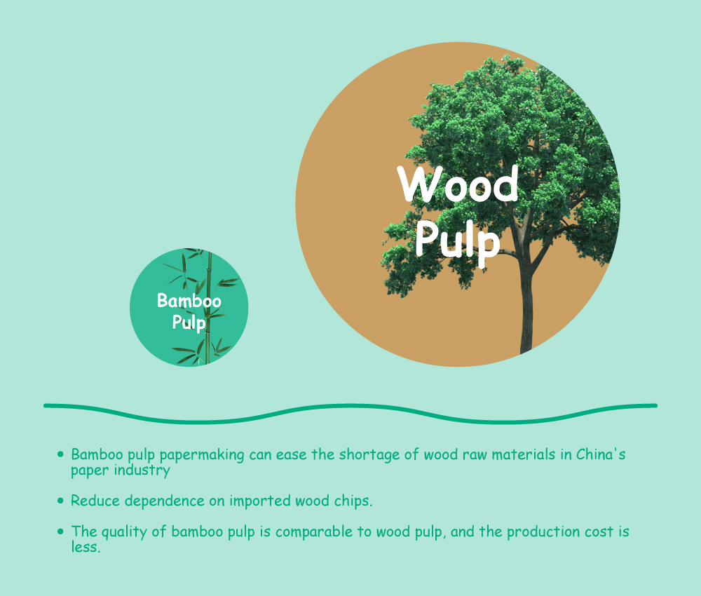 第三章：中国竹浆造纸的潜力与方向1