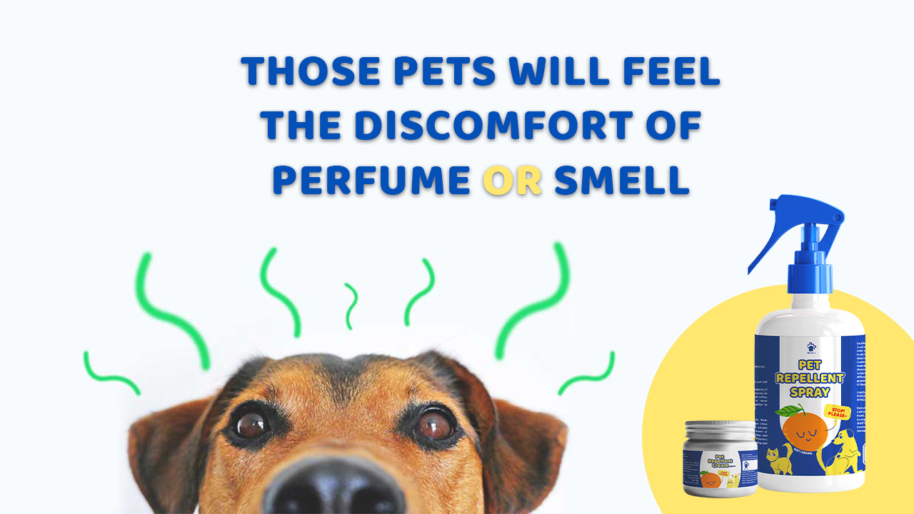 The subtle relationship between pets and perfume