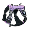 Dog harness (medium and large dogs)