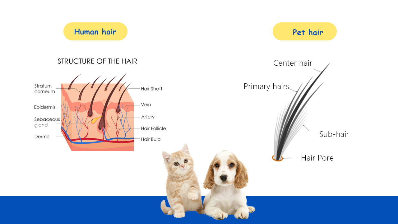 FENGLE International Trade