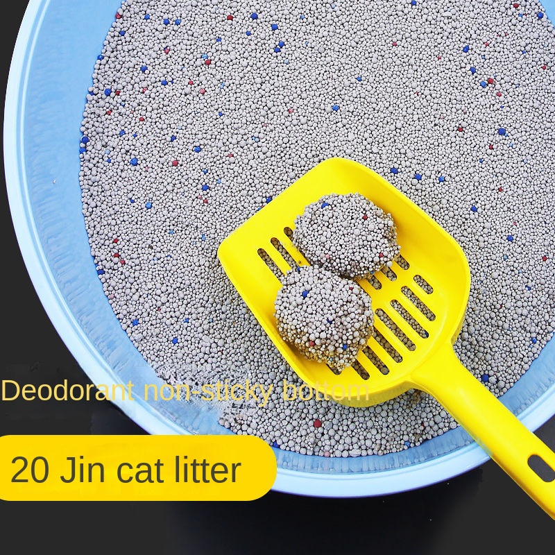 Bentonite Cat Litter