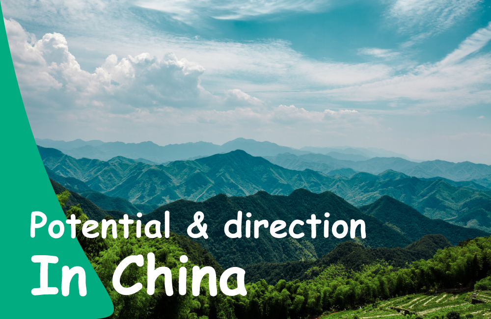 Potential and development direction of bamboo pulp and papermaking in China