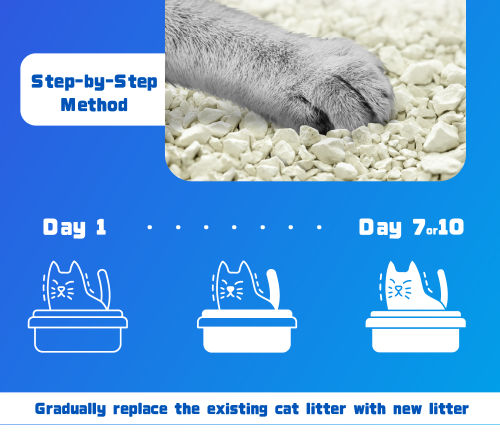 The right way to handle cat litter FENGLE International Trade Co., Ltd.