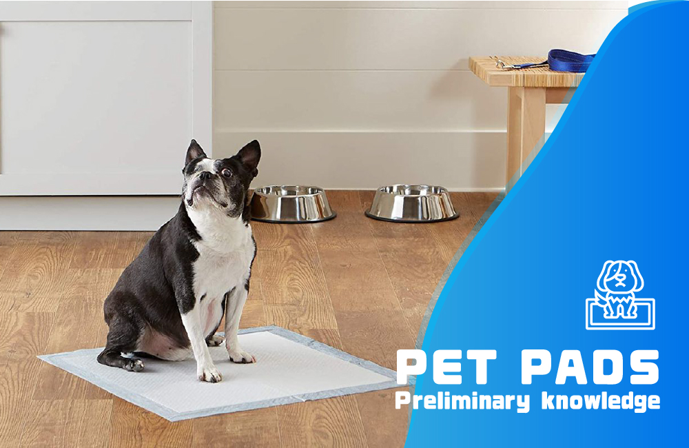 Initial recognition of pet pee pads